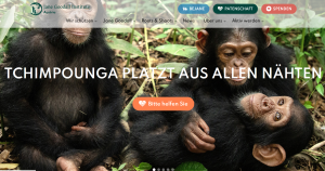 Jane-Goodall-Bild-Affen