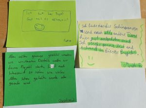 Wortmeldung-der-SN-3-3